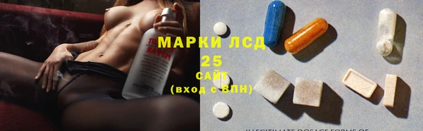 ГАЛЛЮЦИНОГЕННЫЕ ГРИБЫ Медногорск