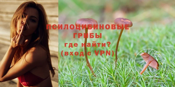 spice Мегион