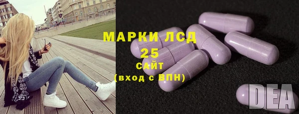 PSILOCYBIN Медвежьегорск