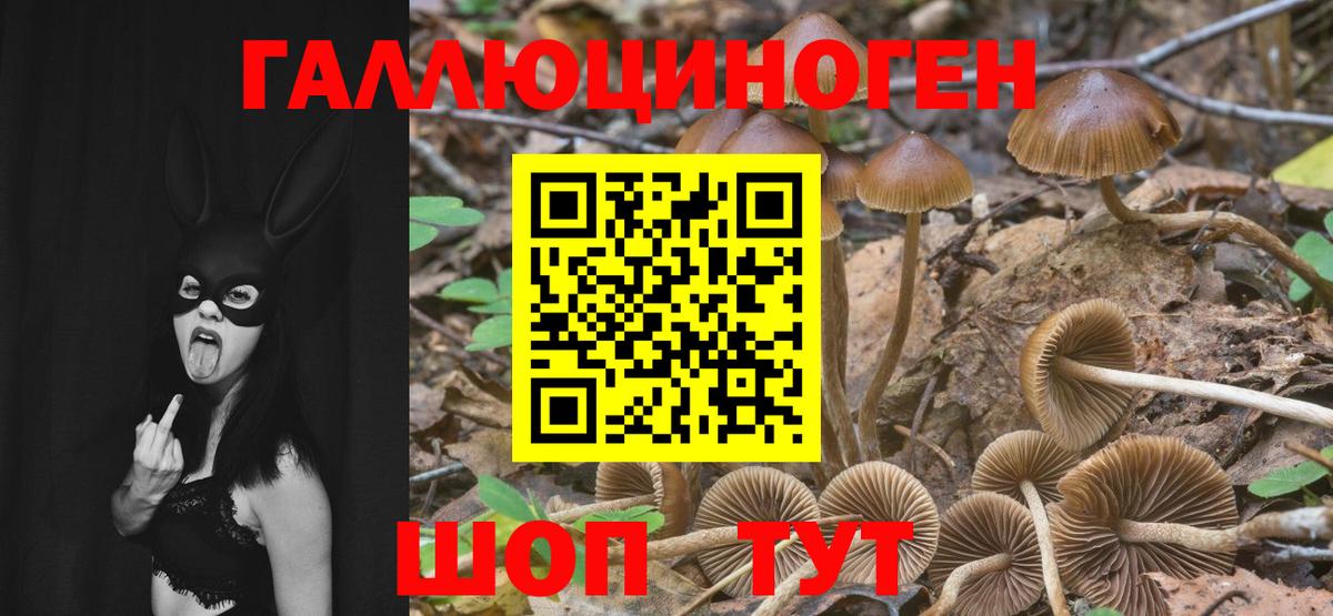 Галлюциногенные грибы мицелий Нарткала